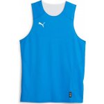 Puma Hoops Team Reverse Practice Jersey Dres – Zbozi.Blesk.cz