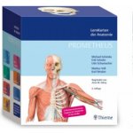 PROMETHEUS LernKarten der Anatomie – Hledejceny.cz