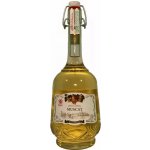 Letto Muscat 12% 1 l (holá láhev) – Hledejceny.cz