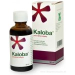 KALOBA POR GTT SOL 1X50ML – Zbozi.Blesk.cz