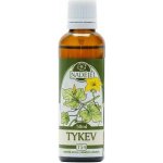 Naděje T54 Tykev obecná tinktura z rostliny 50 ml – Hledejceny.cz