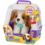 Cobi Little Live Pets Moje opravdové štěňátko 26548 – Zboží Dáma