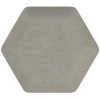 Obraz Scobax Riwiera Hexagon 6x15 cm šedá