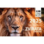 Zvířata, stolní, týdenní, 225 x 150 mm 2025 – Zboží Mobilmania