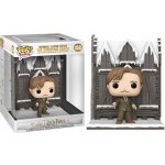Funko Pop! Remus Lupin Harry Potter 9 cm – Zboží Dáma