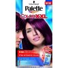 Barva na vlasy Pallete Color XXL Kosmická purpurová V46 50 ml