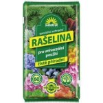 Nohel garden Rašelina SUBSTRAT 60 l – Hledejceny.cz