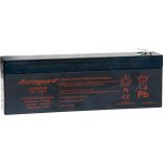 Alarmguard 12V 2,6Ah CJ12-2,6 – Zboží Mobilmania