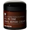 Přípravek na vrásky a stárnoucí pleť Mizon Multi Function Formula Snail regenerační krém s filtrátem hlemýždího sekretu 92% 75 ml