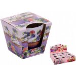 Bartek Candles Fruit Muffins Cherry and Strawberry 115 g – Sleviste.cz