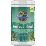 Garden of life Perfect Food Super Green Formula Powder 300 g – Hledejceny.cz