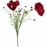 Vlčí mák X7895-08 – Zboží Dáma