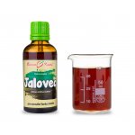 Bylinné kapky Jalovec 50 ml – Hledejceny.cz