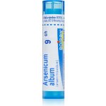 ARSENICUM ALBUM POR 9CH GRA 1X4G – Hledejceny.cz
