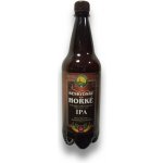 Beskydské Hořké IPA 14° 6,5% 1 l (pet) – Zboží Dáma