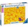 Puzzle RAVENSBURGER Challenge: Kačenky 1000 dílků