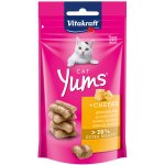Vitakraft Cat Yums Sýr 40 g – Hledejceny.cz
