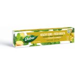 Dabur zubní pasta s mátou a zázvorem pro svěží dech 100 ml – Hledejceny.cz