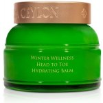 Spa Ceylon Hydratační Balzám na Celé Tělo LEMONGRASS MANDARIN WINTER WELLNESS 100 g – Hledejceny.cz