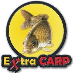 Extra Carp In Line Flat Pear 100g