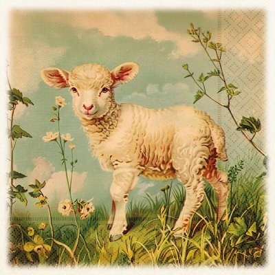 Skona Ting Papírový ubrousek Spring Animals Lamb – Hledejceny.cz
