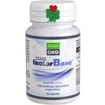 OKG Factor Base 60 ks – Hledejceny.cz