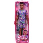 Barbie Model Ken 162 S afro účesem – Hledejceny.cz