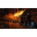 The Witcher 3: Wild Hunt GOTY – Zboží Dáma