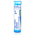 HEPAR SULFURIS CALCAREUM POR 9CH GRA 4G – Hledejceny.cz