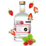 Anton Kaapl jahodovice 47% 0,5 l (holá láhev) – Hledejceny.cz