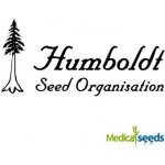 Humboldt Seed Organization Geist OG Fast semena neobsahují THC 5 ks – Hledejceny.cz