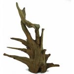 Macenauer Corbo-Wurzel S 30-40 cm – Zboží Dáma