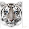 Jerry Fabrics dětská deka Bílý tygr
