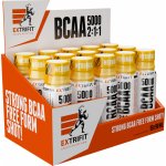 Extrifit BCAA 5000 2:1:1 Shot 1350 ml – Sleviste.cz