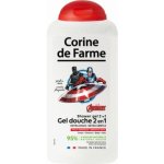 Corine de Farme Avengers 2v1 sprchový gel a šampon na vlasy pro děti 300 ml – Hledejceny.cz