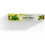 Garden Fresh indické vonné tyčinky Cool mint 15 g – Zboží Dáma