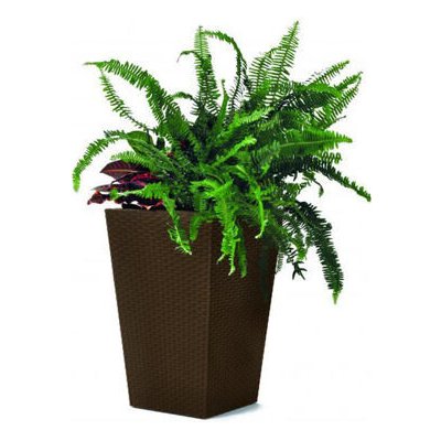 KETER Rattan planter M Květináč 39 x 39 x 57 cm - hnědý KETER 228975 – Zboží Mobilmania