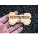 TVOŘÍTKO Novofundlandský pes - kostička – Hledejceny.cz