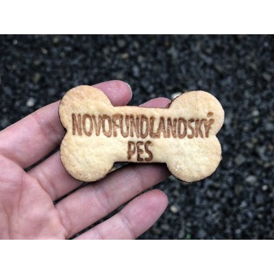 TVOŘÍTKO Novofundlandský pes - kostička – Hledejceny.cz