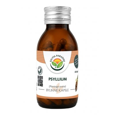 Salvia Paradise Psyllium 60 kapslí – Hledejceny.cz