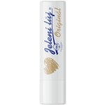 Regina Jelení lůj Originál 13 g – Zboží Dáma