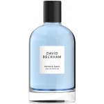 David Beckham Infinite Aqua parfémovaná voda pánská 100 ml – Hledejceny.cz