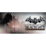 Batman: Arkham Origins Blackgate (Deluxe Edition) – Hledejceny.cz