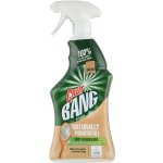 Cillit Bang Spray univerzální 750 ml – Zbozi.Blesk.cz