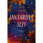 Jantarové slzy – Hledejceny.cz