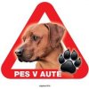 Autovýbava Grel nálepka na plech pozor pes v autě ridgeback