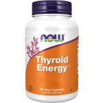 Now Foods Thyroid Energy Štítná žláza 180 rostlinných kapslí – Hledejceny.cz