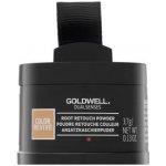 Goldwell Color Revive Root Retouch Powder Light Blonde Světlá blond 3,7 g – Zboží Dáma