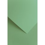 Galeria Papieru Designový papír A4 Sawanna - 220 g, šalvějový,20 ks – Sleviste.cz