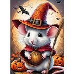 NORIMPEX Diamantové malování Myš s dýní 30 x 40 cm – Zboží Mobilmania